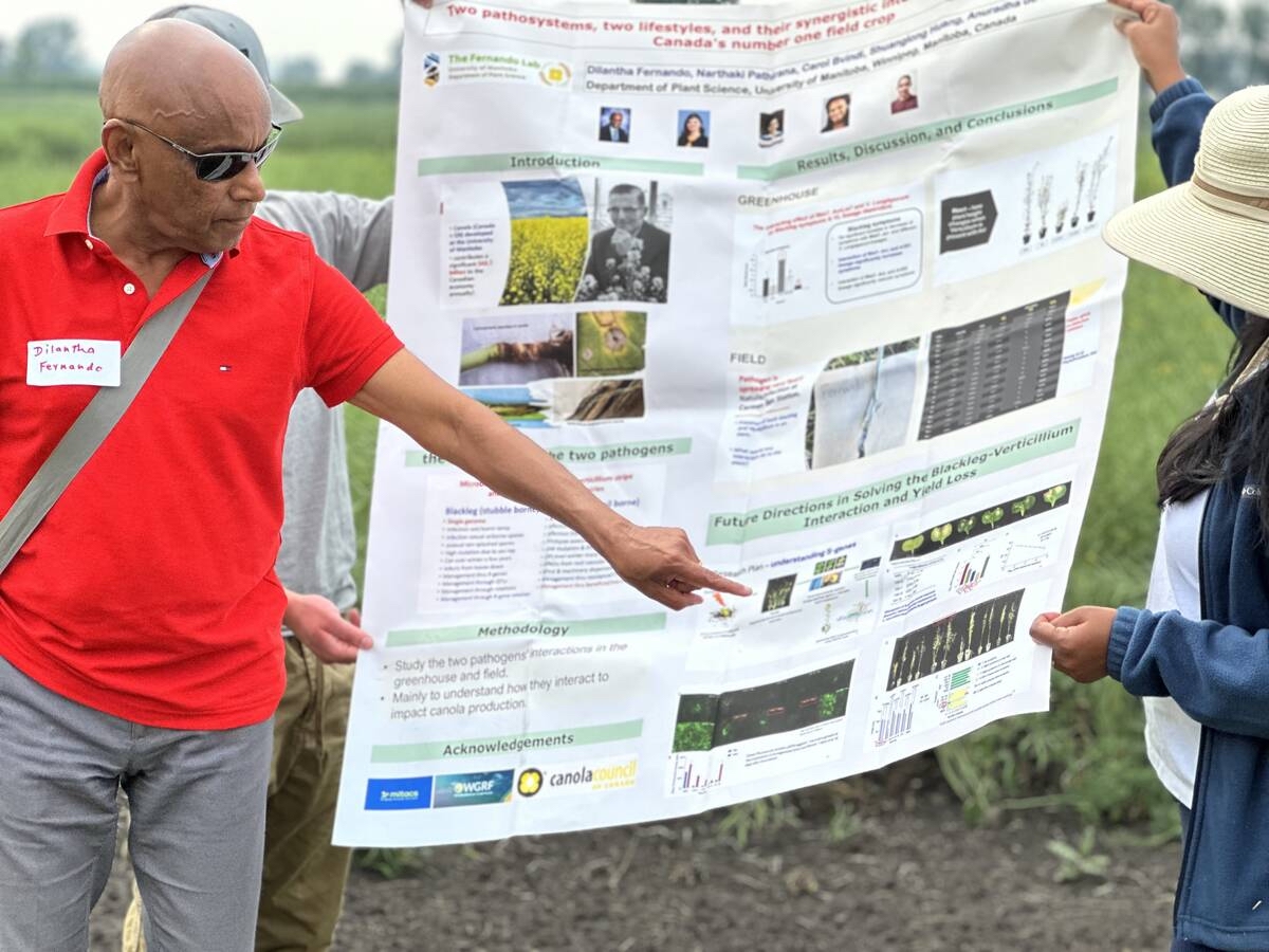 Dilantha Fernando at the University of Manitoba’s field day in Carman in July 2025.