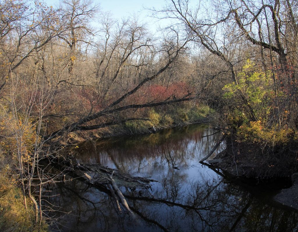 Some of the last fall foliage clings to trees in eastern Manitoba in late October. PHOTO: GERALYN WICHERS