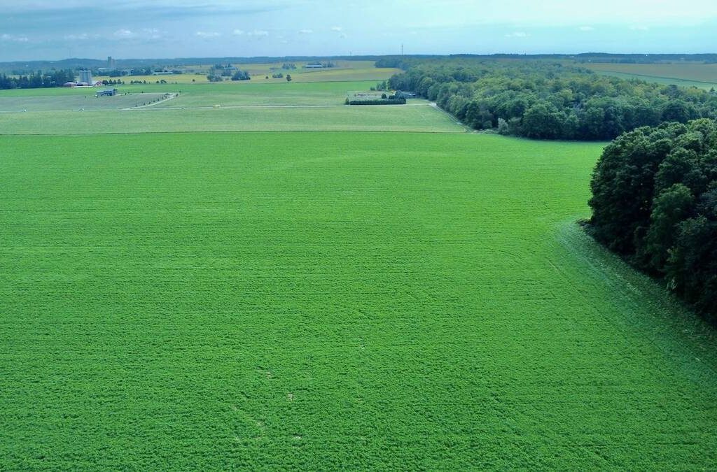 aerial view of a green farm landscape