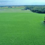 aerial view of a green farm landscape
