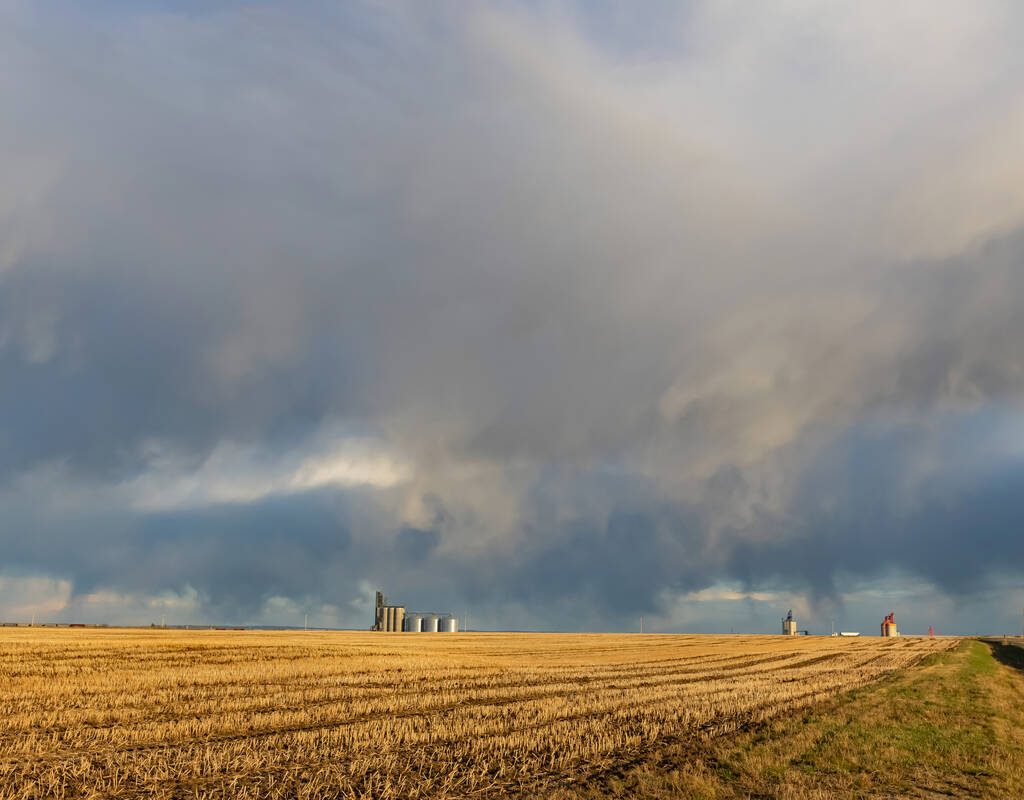 A scenic rural landscape capturing an agricultural field with yellow stubbles under a dramatic cloudy spring sky, raining in the horizon. Grain elevators in the far. Photo: Anna Richard