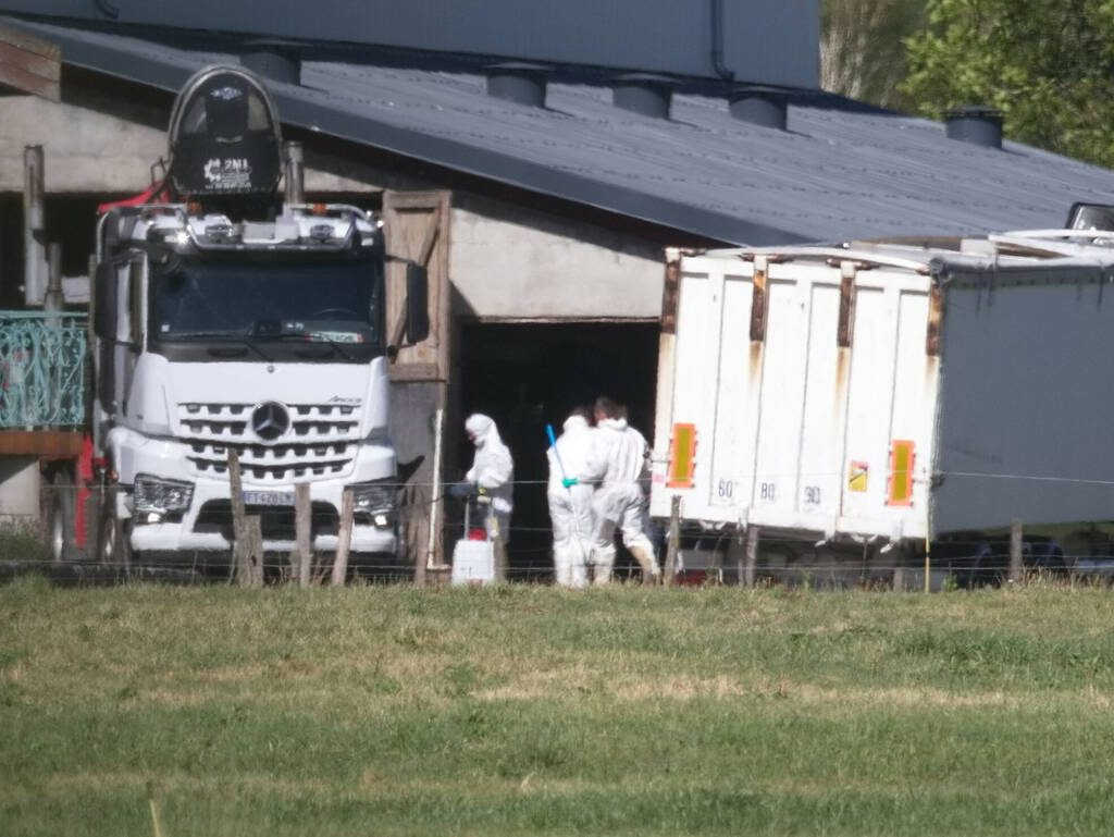 Workers in hazmat suits are seen from a distance cleaning up on a farm infected with lumpy skin disease.
