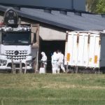 Workers in hazmat suits are seen from a distance cleaning up on a farm infected with lumpy skin disease.