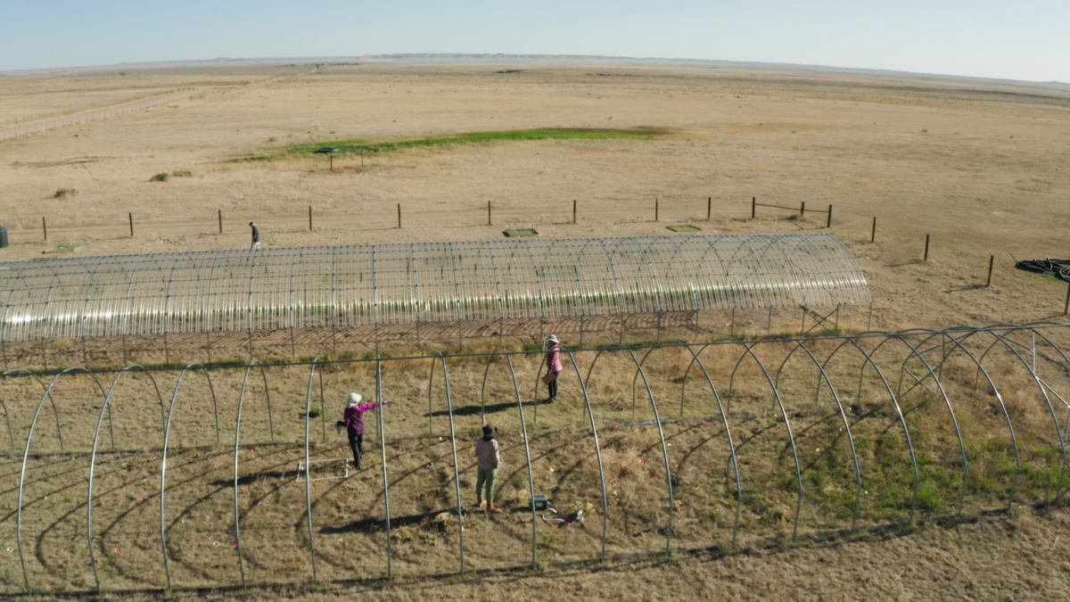 Image for Prolonged drought causes unprecedented productivity loss: Study