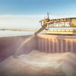 Wheat is loaded into a cargo ship.
