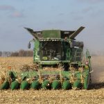 A green combine harvests corn in a Manitoba field in late autumn.