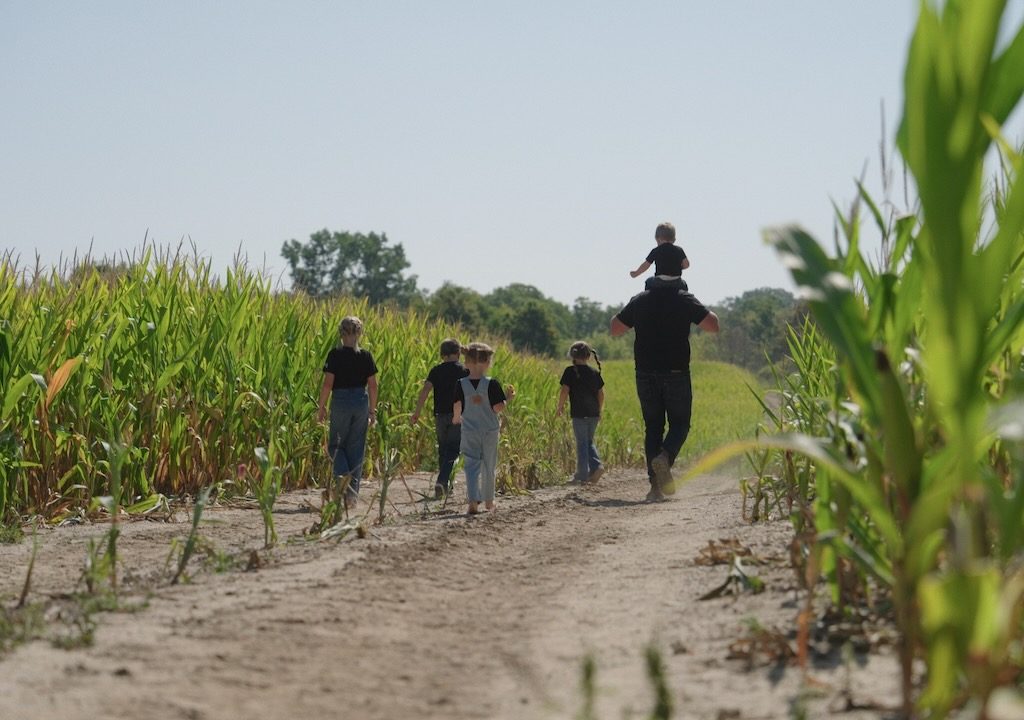 a farm family walking alongside a corn field