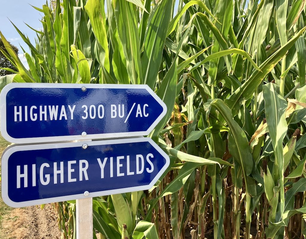 Corn plots at the Maizex Seeds booth at Canada's Outdoor Farm Show 2025. photo: Greg Berg