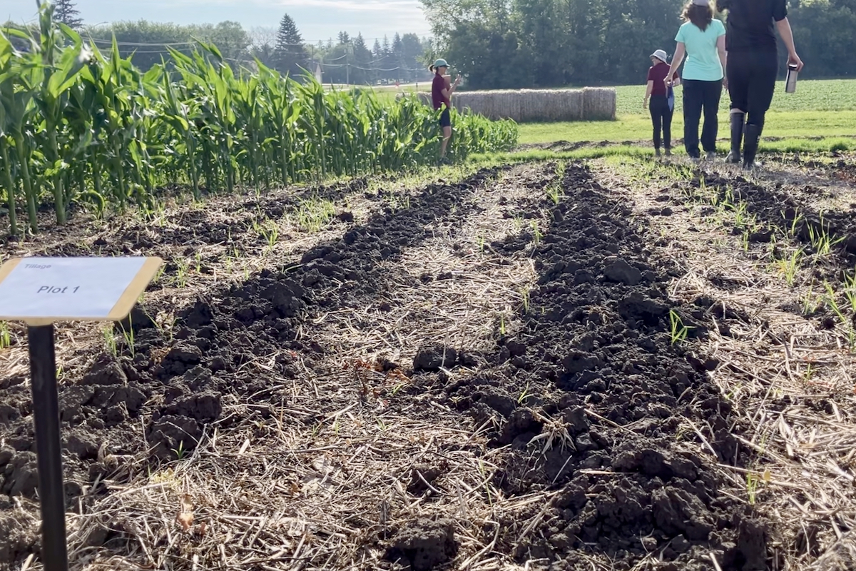 Image for AgGronomyTV: Minimizing tillage erosion in your fields