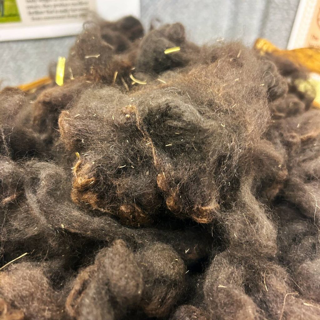 raw alpaca fleece. Photo: Janelle Rudolph