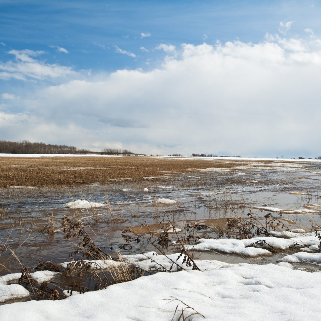 Melt water and melting snow in a harvested grain field in early spring. Rain storm in the background. Image taken in the afternoon in early spring.