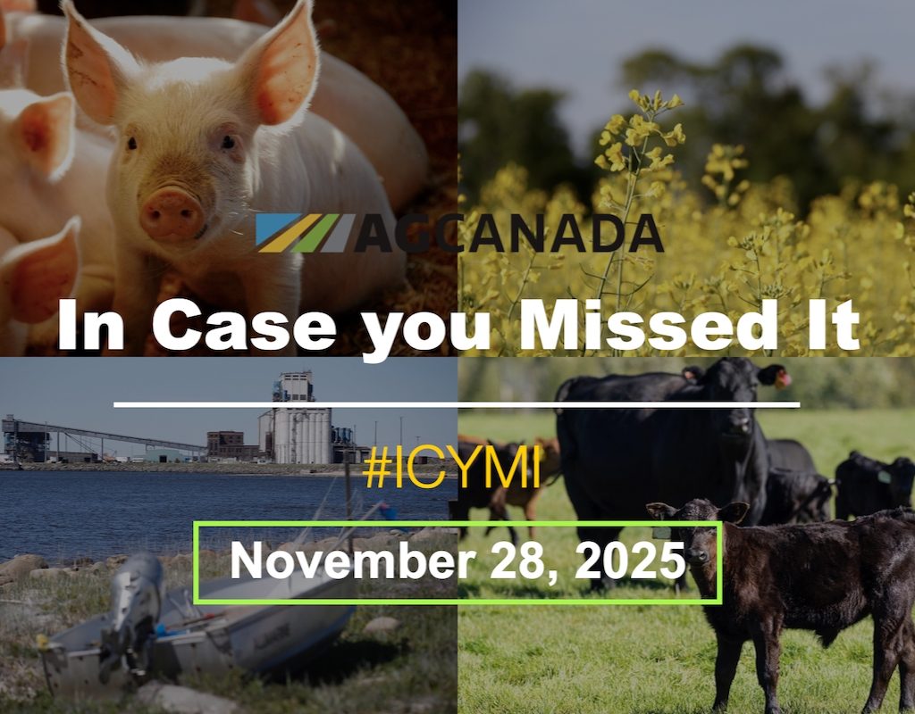 In case you missed it title card