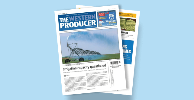 Promotion Illustration