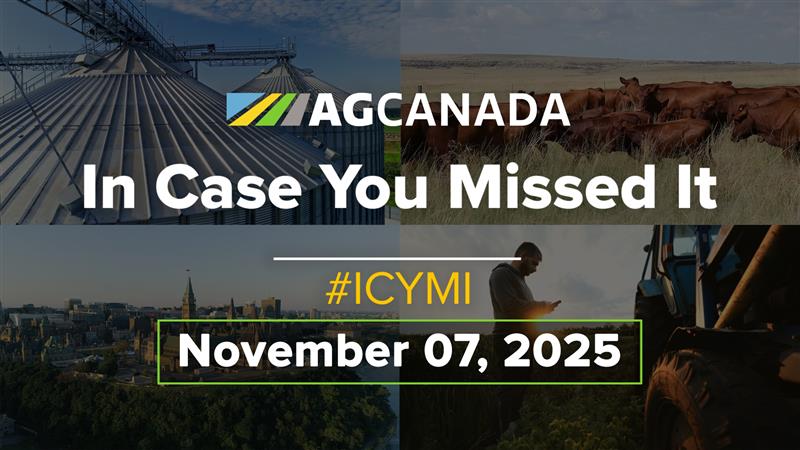 In case you missed it title card.