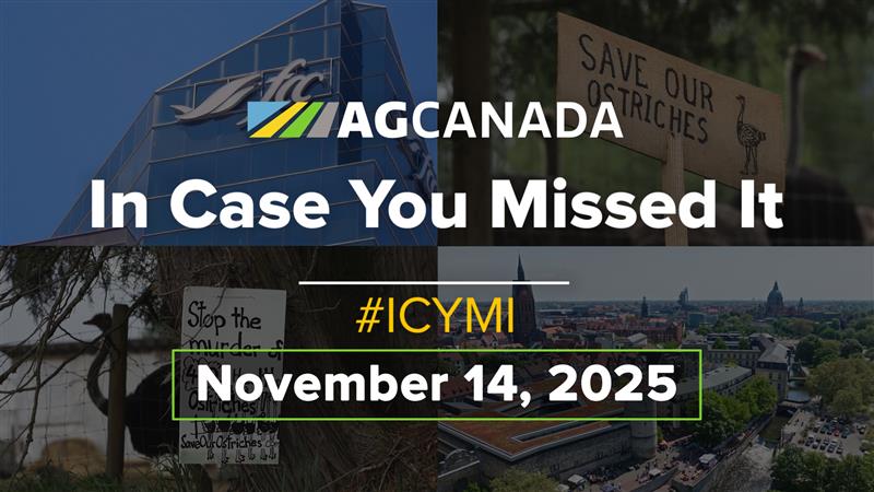 "In case you missed it" title card.