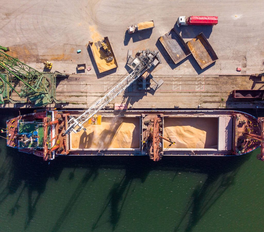 A bulk grain carrier ship is loaded in a port. Photo: sandsun/Getty Images Plus