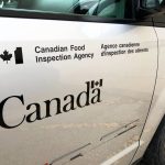 A close-up on the door of a CFIA vehicle with the government of Canada logo.