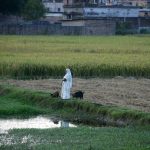 Indian village women are seen on their farmland in Bihar, India, on November 24, 2024. Photo: Diptendu Dutta/NurPhoto