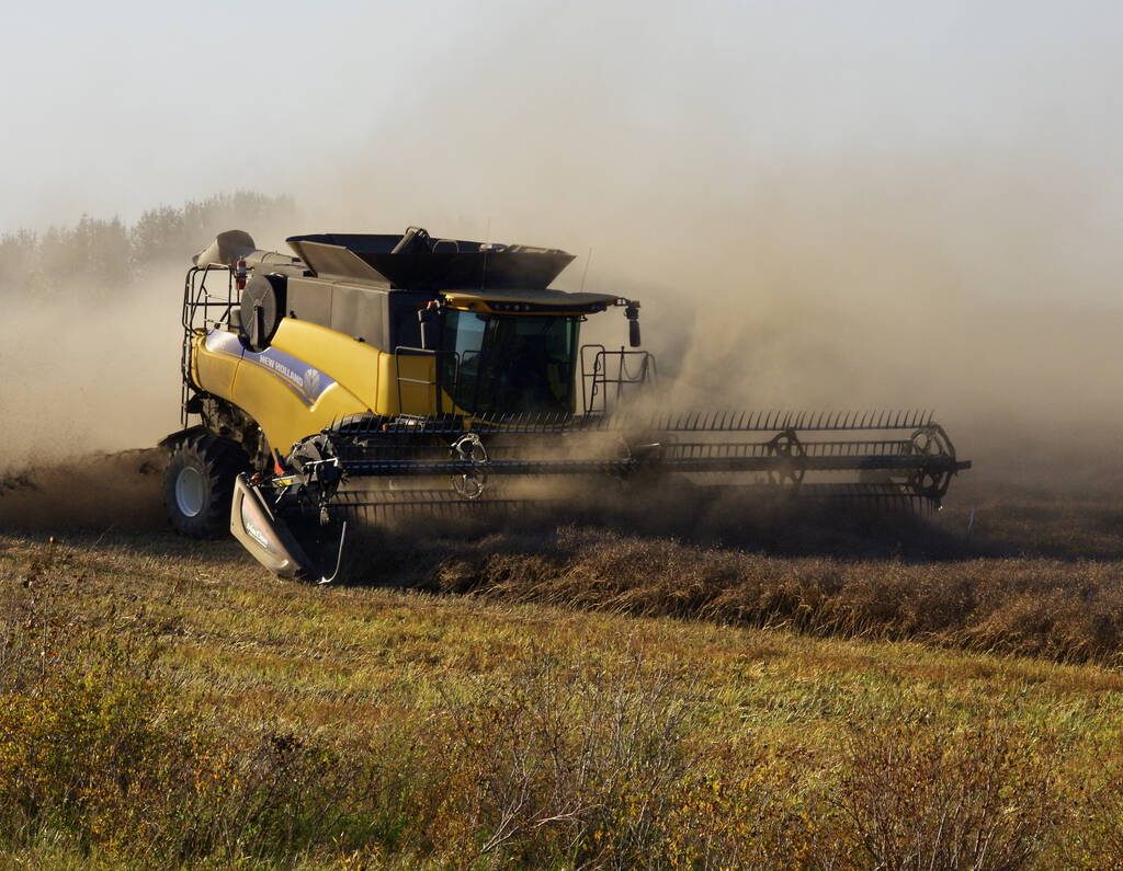 Canola harvest throws up dust clouds west of Neepawa, Man., Sept. 29, 2025. Photo: Alexis Stockford