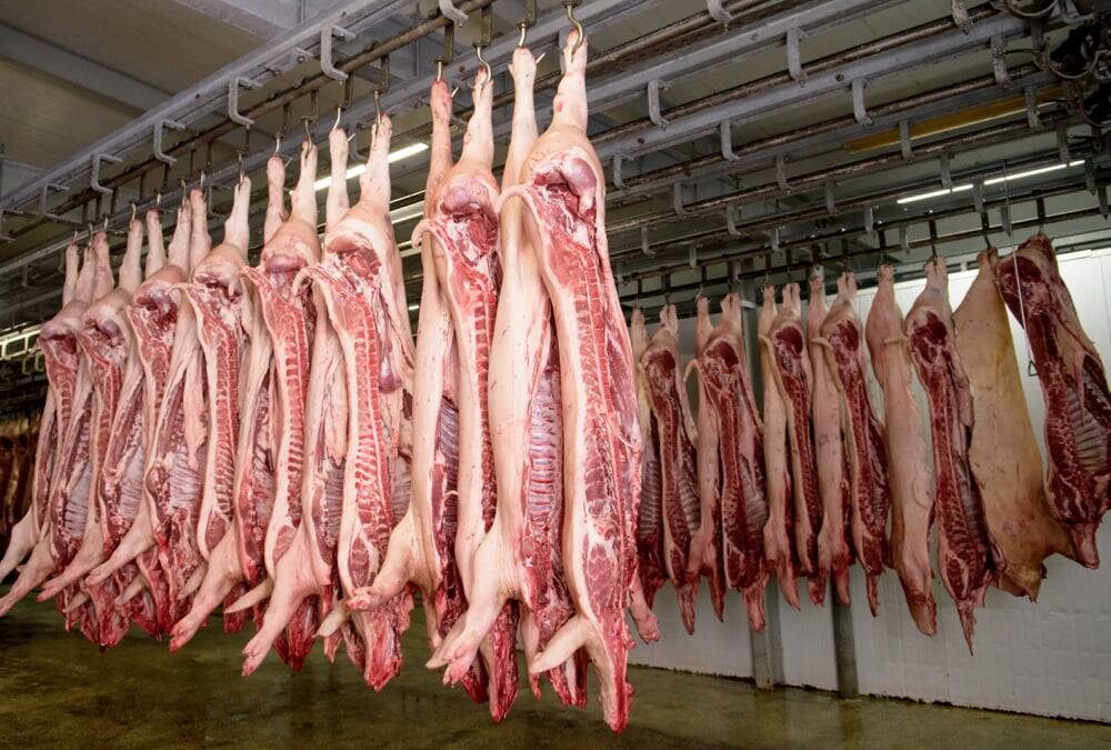Pork carcasses hanging in cooler. Photo: Photo: hrabar/iStock/Getty Images
