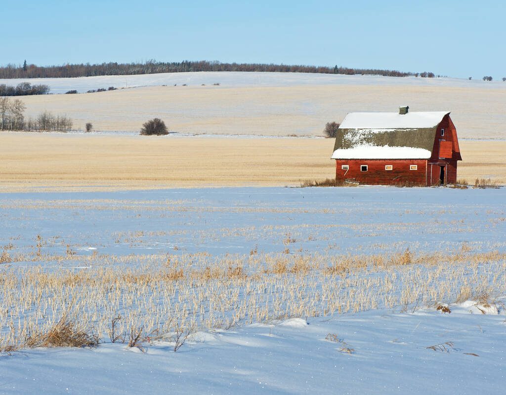 An old red barn in a snow covered field with stubble protruding through the snow.  Image taken in late morning in winter.  Rural scene. Photo: Getty Images Plus/tbob