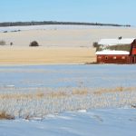An old red barn in a snow covered field with stubble protruding through the snow.  Image taken in late morning in winter.  Rural scene. Photo: Getty Images Plus/tbob