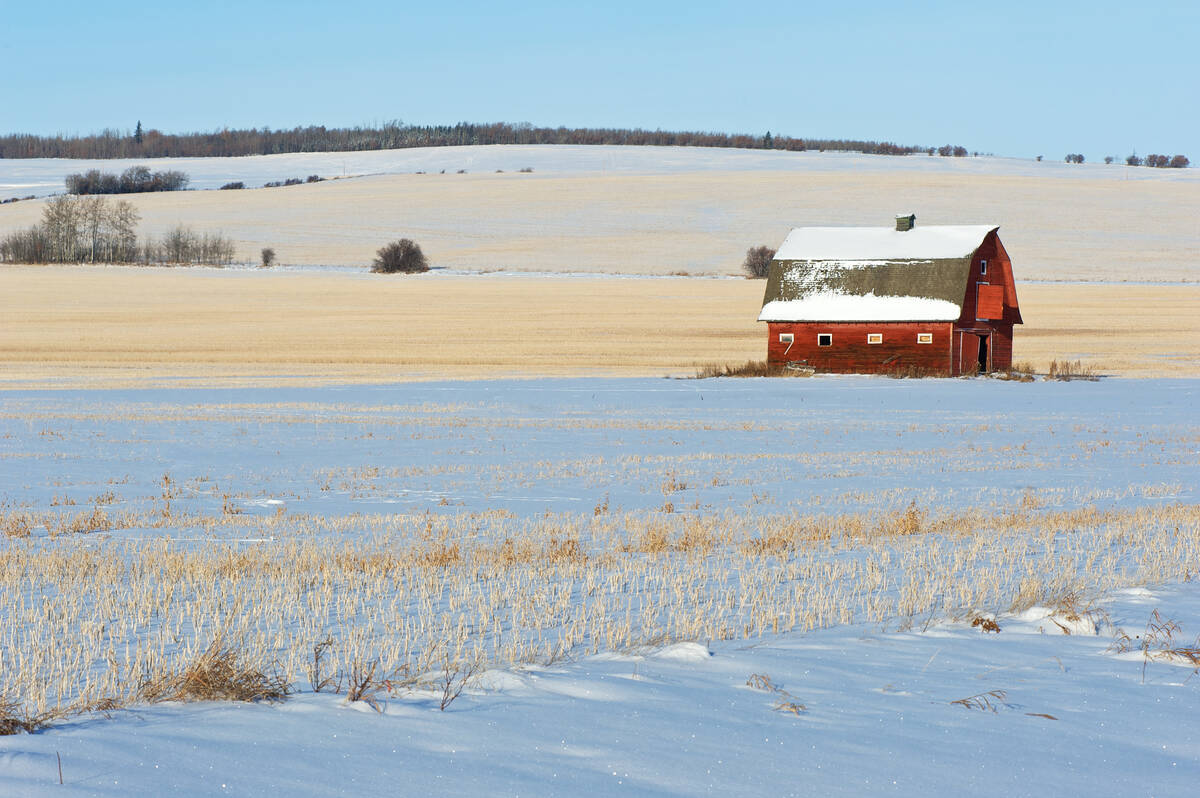 Image for Prairie forecast: Plenty more chances for snow over Holidays