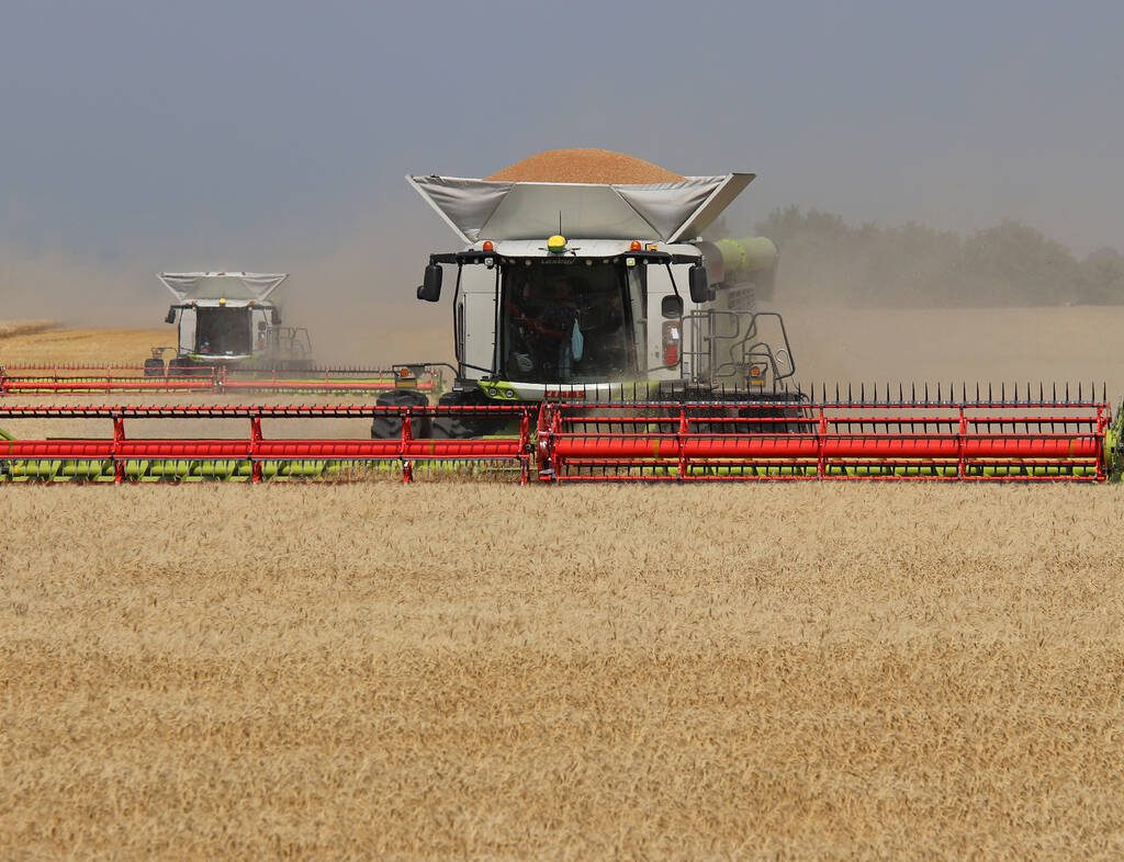 Two combines harvest winter wheat. Photo: Robin Booker