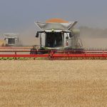 Two combines harvest winter wheat. Photo: Robin Booker