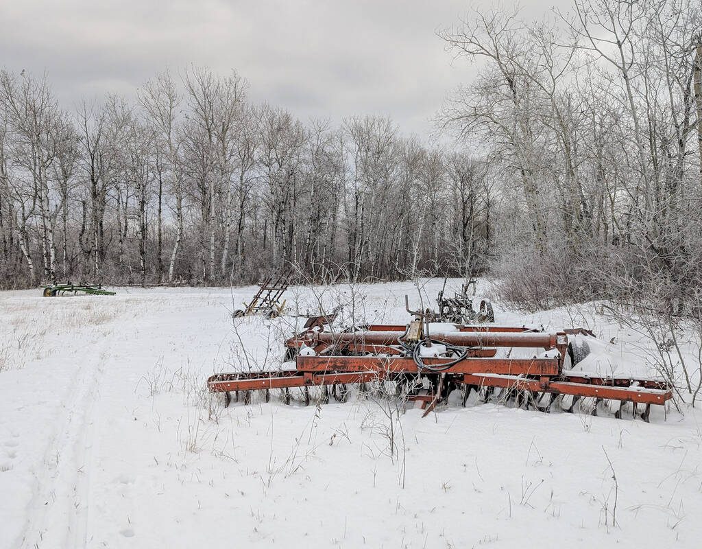 A snowy pasture scene in eastern Manitoba.