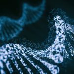 Abstract Genetics Disease - 3d rendered image. Hologram view. SEM (TEM) macroscope image. DNA mutations. Vexas disease. Medicine Healthcare research concept. X chromosomes objects.
Photo: koto_feja/iStock/Getty Images