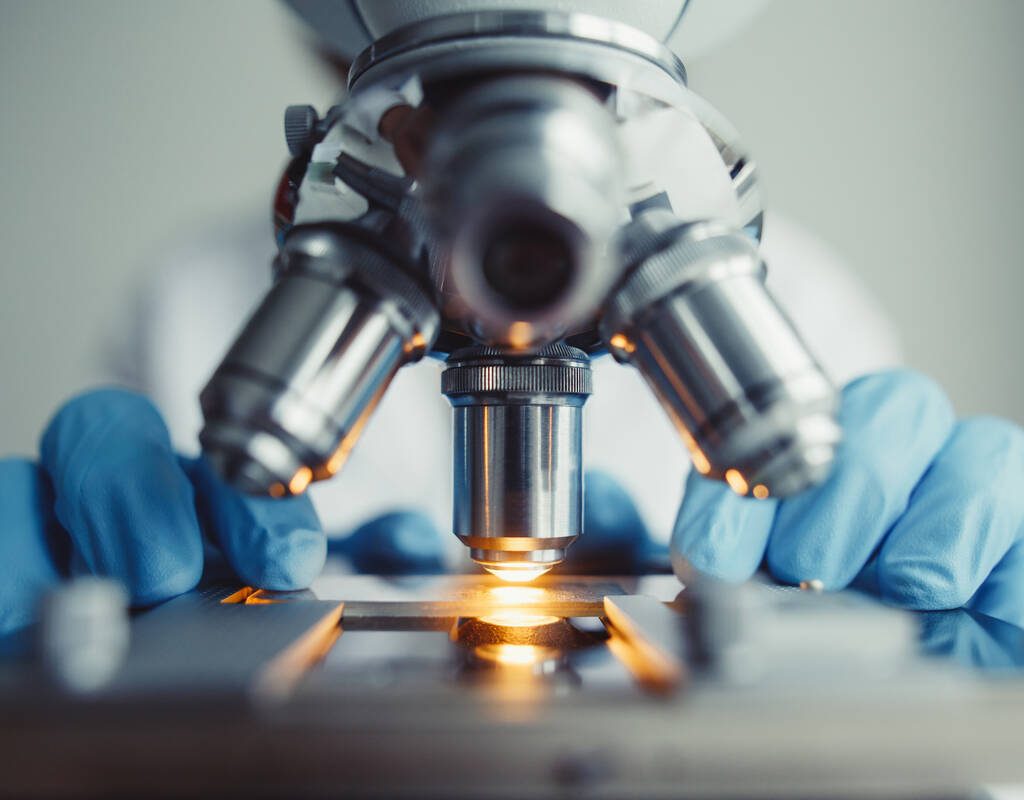 Close up of examining of test sample under the microscope in laboratory. Photo: Getty Images Plus