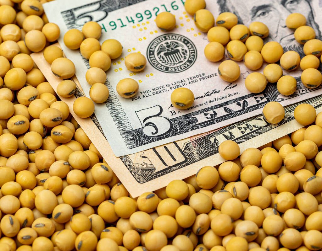 An American five dollar bill and ten dollar bill sit in a pile of loose soybeans. Photo: Getty Images Plus