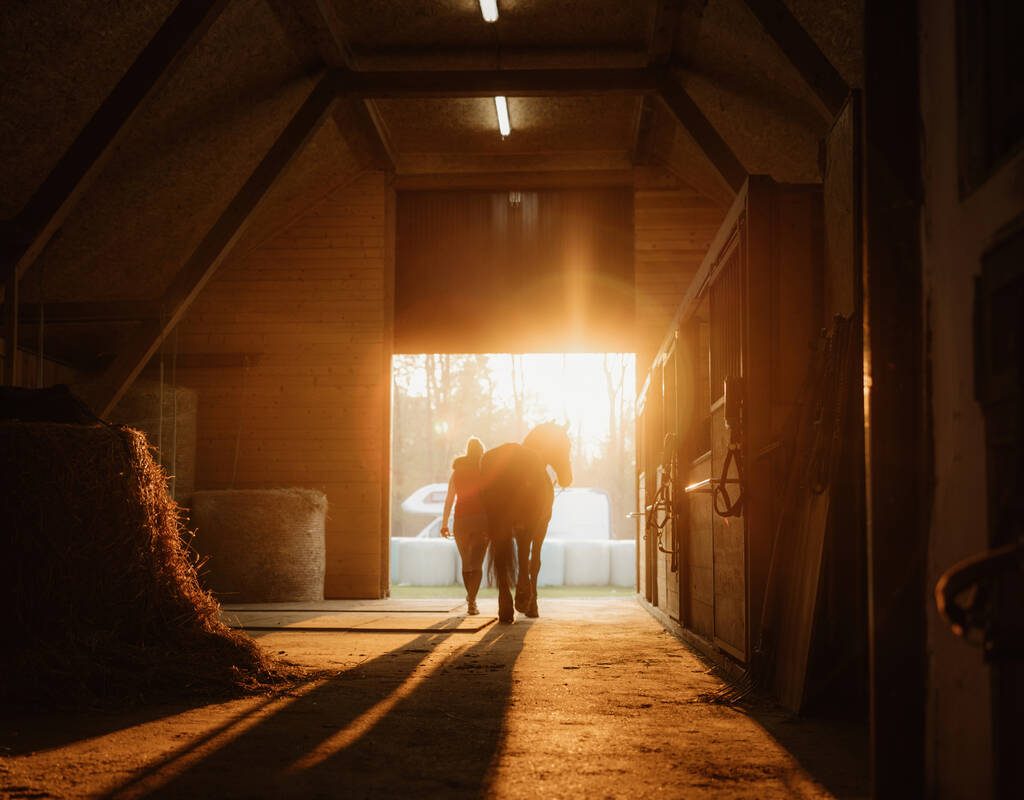 Rear view of woman walking with horse outside the barn during sunset. Photo: Getty Images Plus