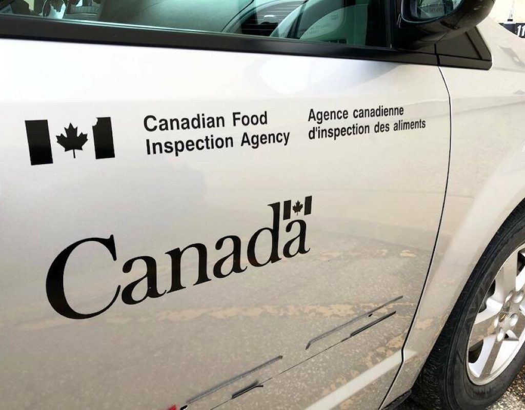A close up on a CFIA logo on a vehicle door.