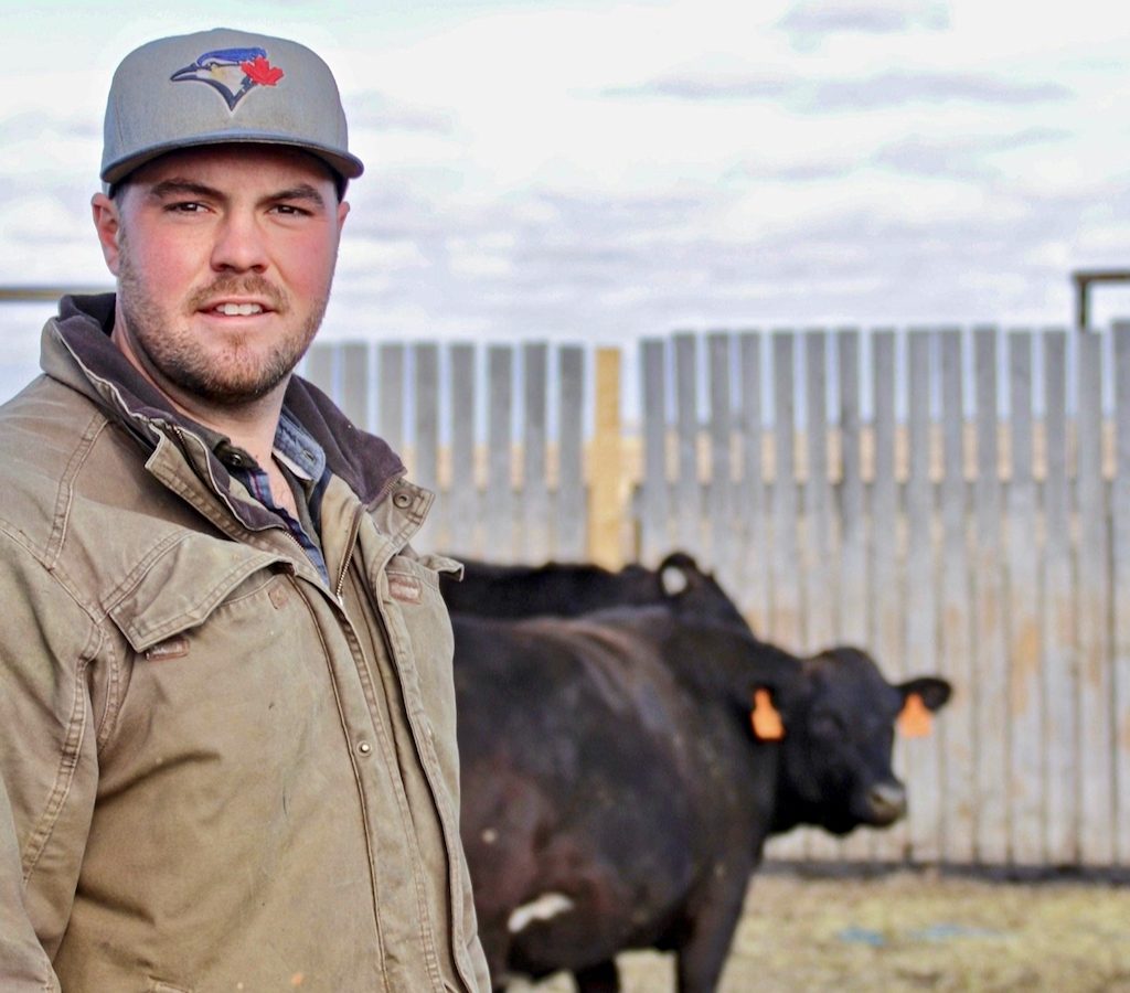Ian Crosbie standing with cattle in a feedlot