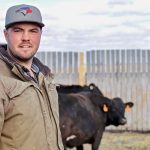 Ian Crosbie standing with cattle in a feedlot