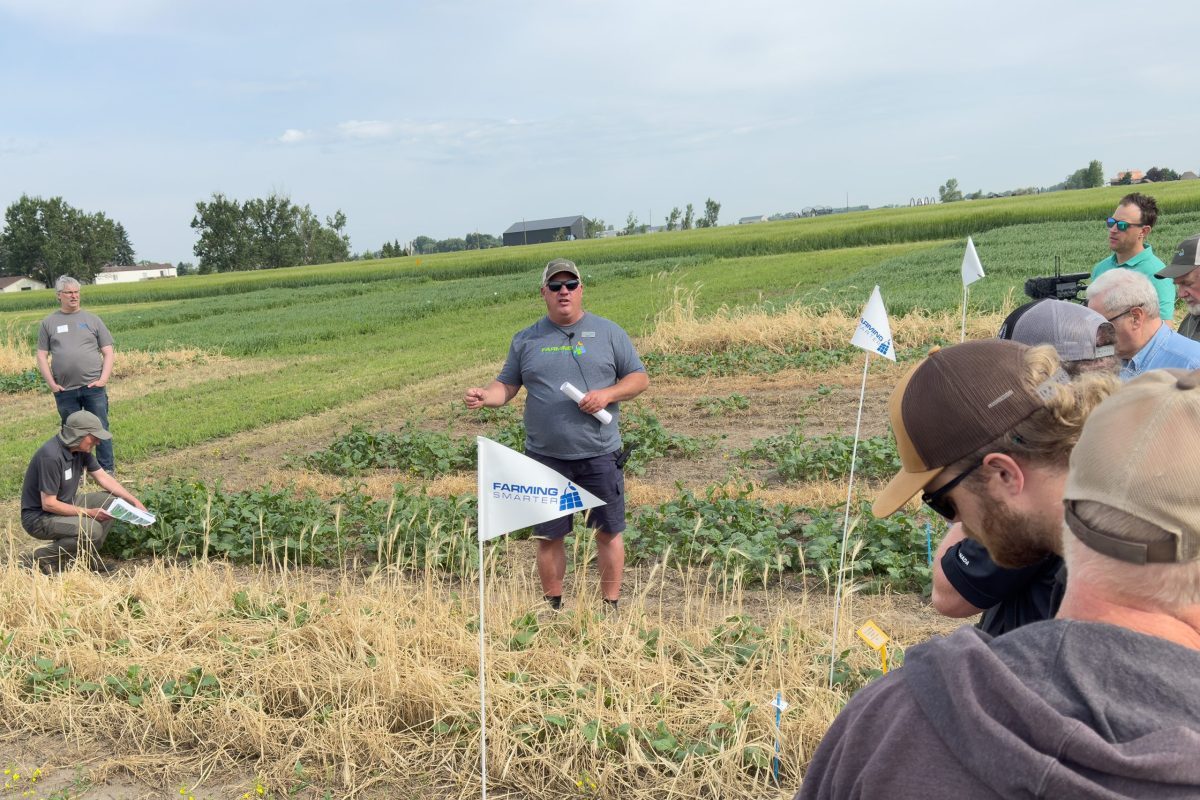Ken Coles (centre) leads farmers and agronomists at the 2025 Farming Smarter Field School through research plots of an inter-row canola study while he presents on the impact of the various cover crop seeding rates and termination methods used in the trials.