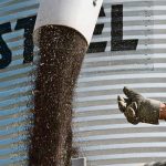 Canola pours out of an auger in front of ag grain bin | File photo