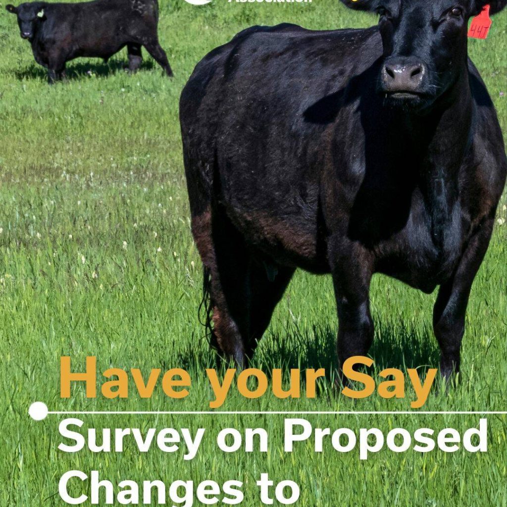 CCA wants to hear Canadian cattle producers thoughts on the incoming regulations. Photo via CCA https://www.linkedin.com/posts/cca-cattle_in-response-to-producer-feedback-and-concern-activity-7426663701186822145-oPb3?utm_source=social_share_send&utm_medium=member_desktop_web&rcm=ACoAADUyAbcBQBqLAdPsqT85DRGPgtSmd4StOyc