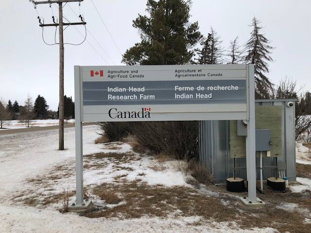 Indian Head Research Farm. Photo: David Gehl