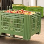 A forklift carries crates of apples.