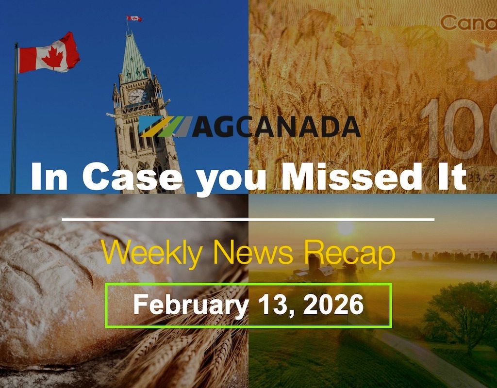 In case you missed it title card for Feb. 13, 2026