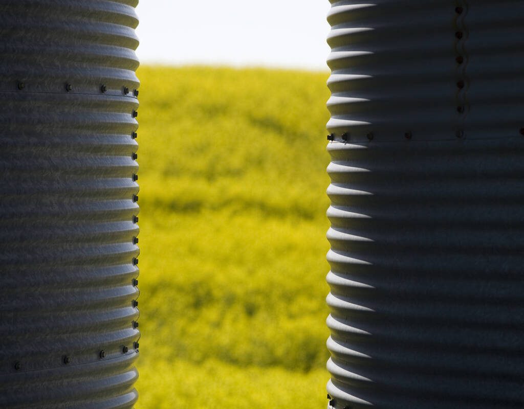 Steel granaries alongside a canola crop. Photo: Getty Images Plus