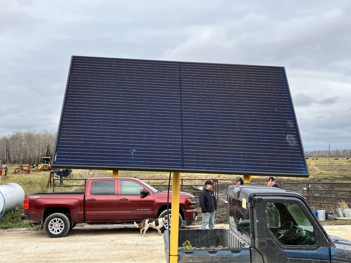 a solar panel on a livestock watering system