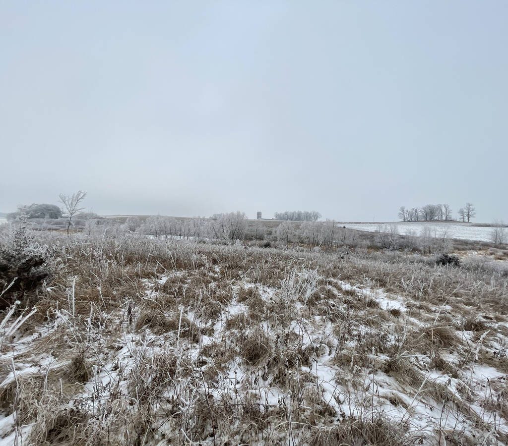 A frosty, snow covered rural scene in the Midwest. Photo: Getty Images Plus