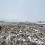 A frosty, snow covered rural scene in the Midwest. Photo: Getty Images Plus