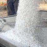 White pellets of fertilizer pours into a hopper. Photo: file