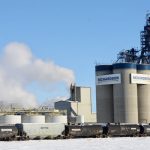 Richardsons canola crushing plant crusher crush Yorkton.