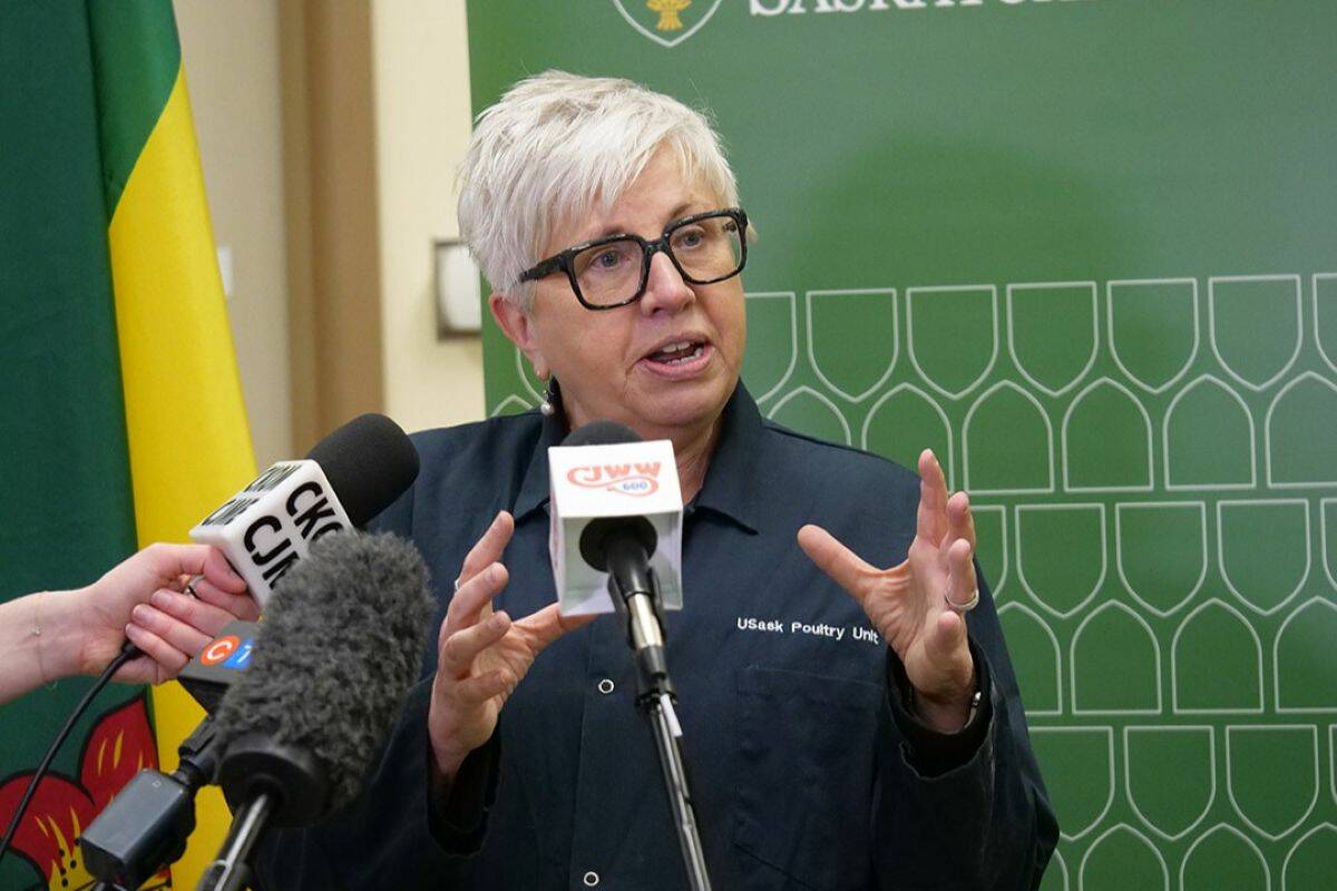 Image for Proposed Sask. poultry research facility gets funding influx